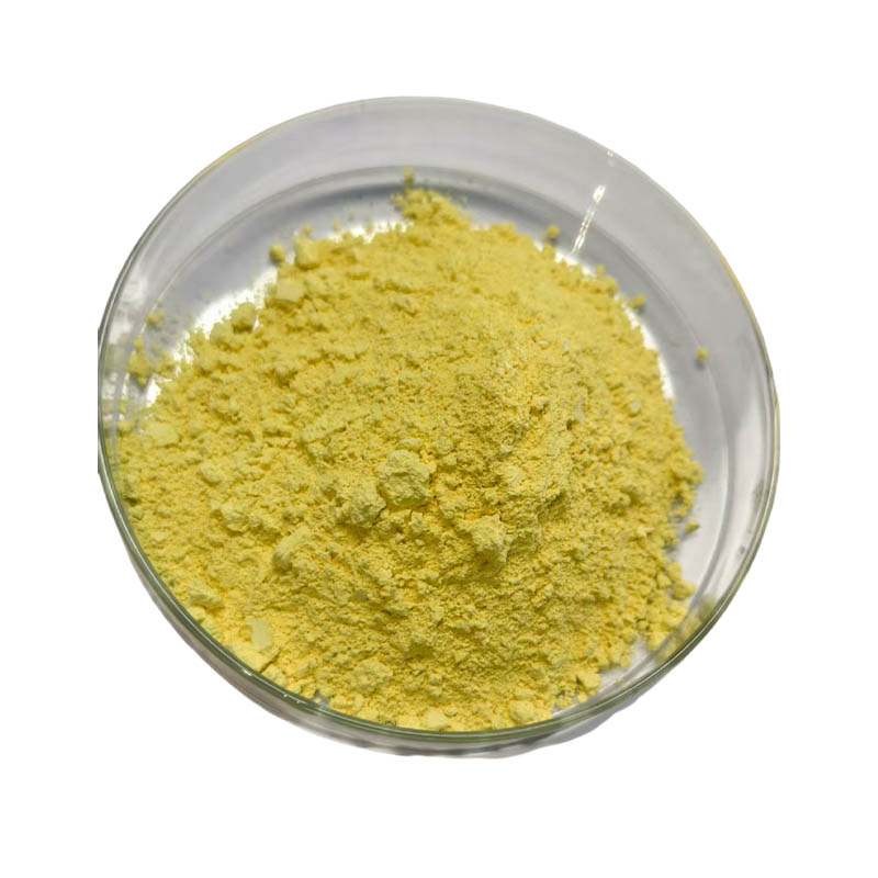 Berberine Hydrochloride
