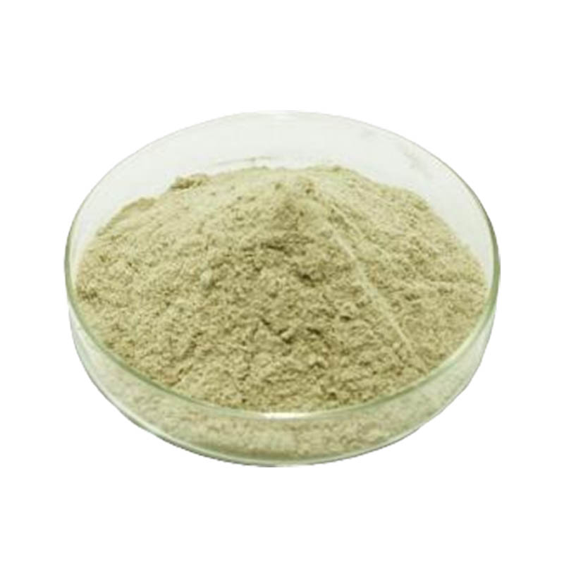 To enhance the antioxidant properties of sophora japonica extract, what specific improvements need to be made to the extraction process?