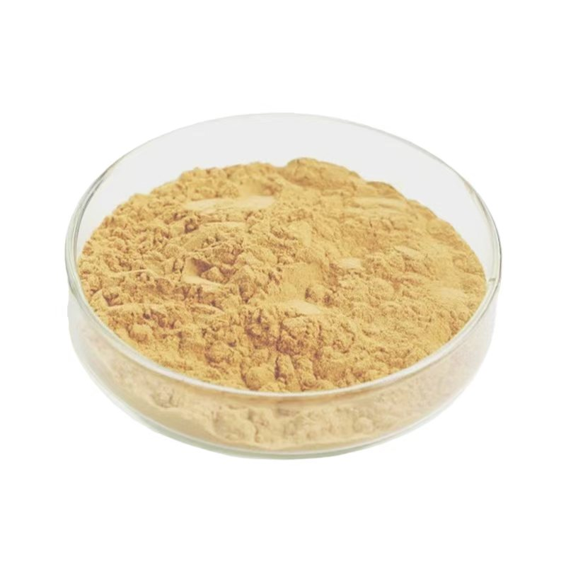 How Does the Solubility of Astragalus Extract Vary Between Different Concentration Ratios?